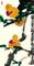 ߴ磺138-70cmʱ䣺2008