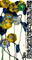 ߴ磺178-98ֽʱ䣺2007