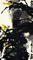 �ߴ磺178-98cm������ʱ�䣺2007