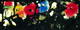 �ߴ磺138-50cm������ʱ�䣺2008