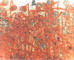 �ߴ磺200x180cm