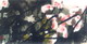 ߴ磺138x70cm